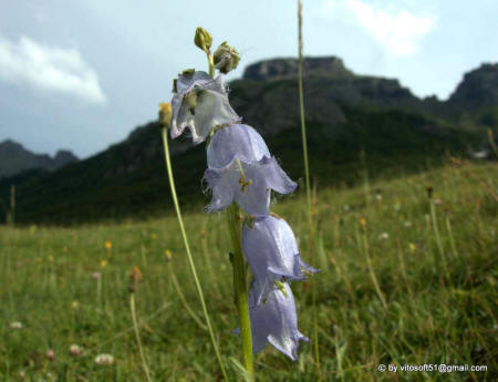 Passo Pordoi