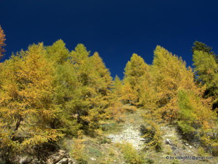 Passo Pennes